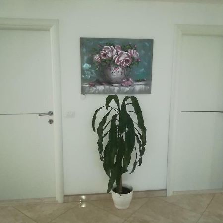Apartman Daria Apartment Trogir Exterior photo